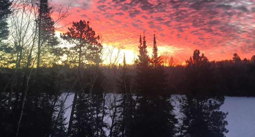 The sky appears pink, purple and yellow as the sun rises or sets behind a row of trees in the snow.